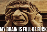 My Brain is Full of F**k