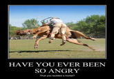 Have You Ever Been So Angry That You X?
