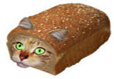 CatBread / Nekopan