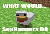 YouTube Comment Memes