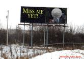 Miss Me Yet?