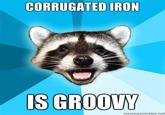 Lame Pun Coon