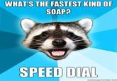 Lame Pun Coon