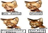 Furries