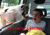 Internet Fight