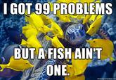 I Got 99 Problems But a Bitch Ain't One