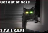 "Get Out Of Here Stalker!"