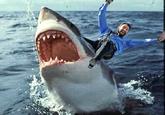 Hugh Jackman Can Ride Anything!