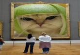 Limecat