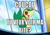 Coucou tu veux voir ma b*** ??