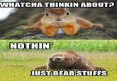 Whatcha Thinkin Bout?
