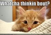 Whatcha Thinkin Bout?
