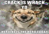 Crack Is Wack