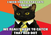 Business Cat