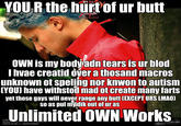 Hurt Feelings and Butt Ranged/Wall of Text Insult Images