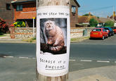 IRL Troll Posters