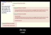 Are You A Wizard