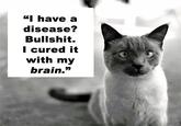 Charlie Sheen Rant / #tigerblood