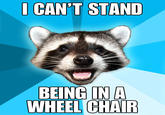 Lame Pun Coon