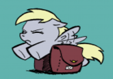 Derpy Hooves