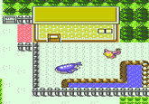 Hot Skitty on Wailord Action