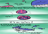 Hot Skitty on Wailord Action
