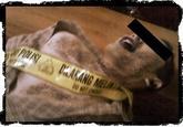 Playing Dead