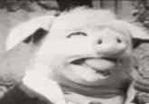 Le Cochon Danseur (The Dancing Pig)