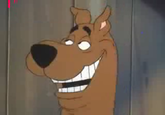 Reaction Faces