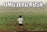 Zerg Rush