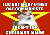 Lenin Cat