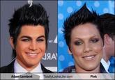 Totally Looks Like / Separated At Birth