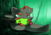 Zorua Spam
