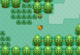 Fake Pokémon Battles