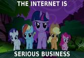 The Internet is Serious Business
