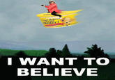 "I Want To Believe" Poster