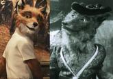 Totally Looks Like / Separated At Birth