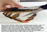 Sad Crab / This Kills The Crab