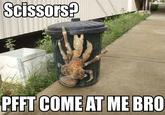 Sad Crab / This Kills The Crab