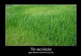 I Know That Feel Bro