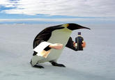Birds with Arms