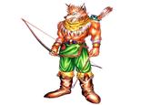 Furries