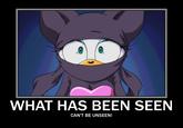 What Has Been Seen Cannot Be Unseen