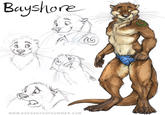 Furries