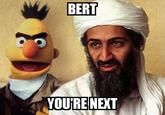 Bert Is Evil!