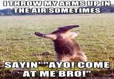 I Throw My Hands Up In The Air Sometimes Saying Ayo