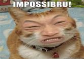 Impossibru