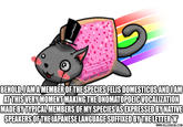 Verbose Memes