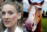 Sarah Jessica Parker Looks Like a Horse