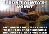 The Most Interesting Cat in the World